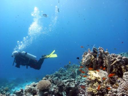 elgouna2010_11