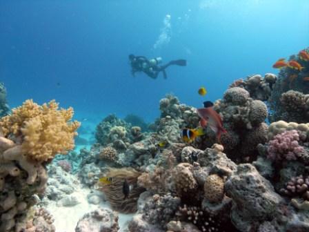 elgouna2010_15