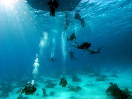 elgouna2010_4
