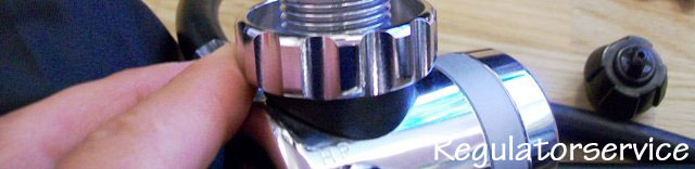 webserviceregulator webserviceregulator
