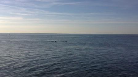on_20120503_8