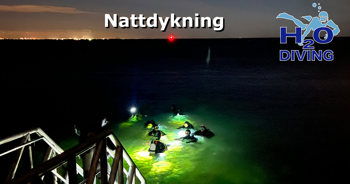 Night Diver