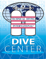 TDI Logo