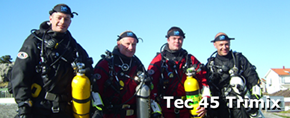tec_45_banner