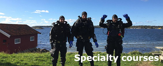 Specialty courses