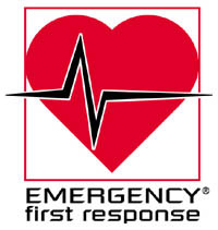 EFR Logo