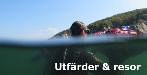 freediver_banner_utf