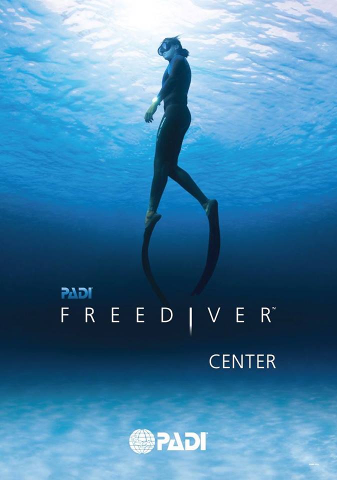 freediver_center_logo