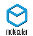 Molecular Products