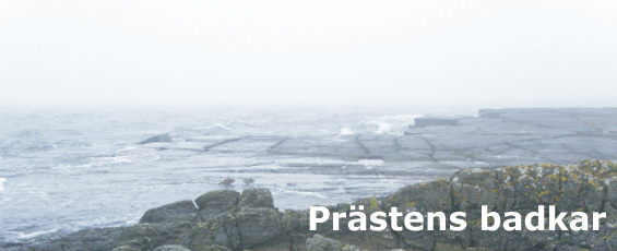 utf_prasten_banner