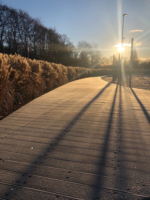 Fridykning i Stadsparken