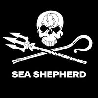 Visit from Sea Shepherd