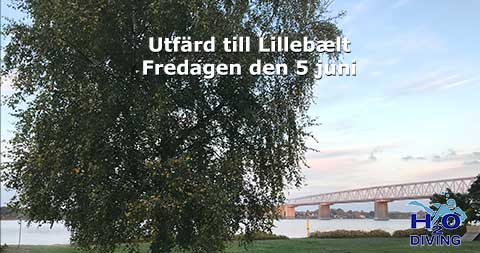 Utfärd till Lilla Bält