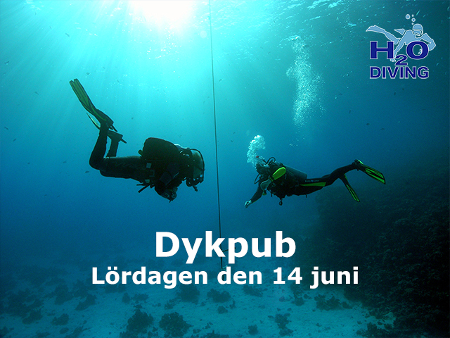 Dykpub