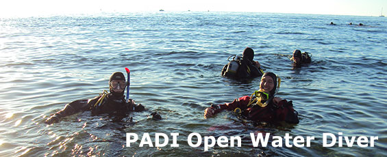 PADI Open Water Diver kurs
