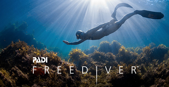 PADI Freediver